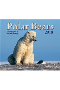Polar Bears 2018
