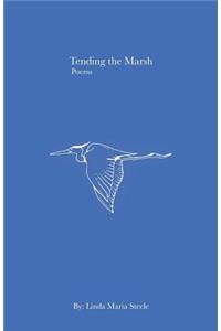 Tending the Marsh