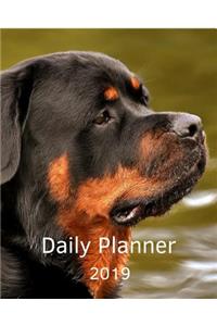 Planner 2019: Boxer