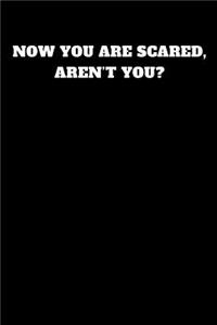 Now You Are Scared, Aren