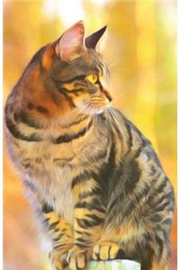 Bullet Journal for Cat Lovers Tabby Cat Sitting Pretty