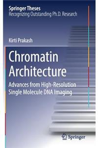 Chromatin Architecture
