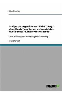 Analyse des Jugendbuches 