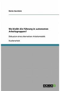 Wo bleibt die Führung in autonomen Arbeitsgruppen?