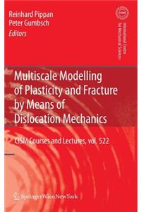 Multiscale Modelling of Plasticity and Fracture by Means of Dislocation Mechanics