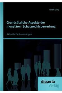 Grundsätzliche Aspekte der monetären Schutzrechtsbewertung