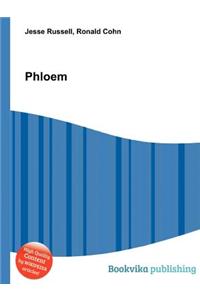 Phloem