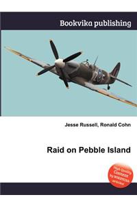 Raid on Pebble Island