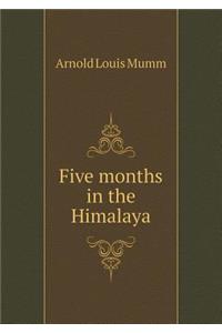 Five months in the Himalaya