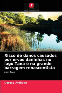 Risco de danos causados por ervas daninhas no lago Tana e na grande barragem renascentista