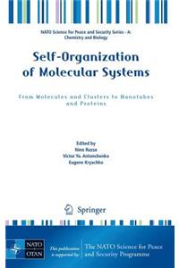 Self-Organization of Molecular Systems