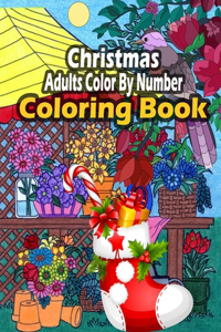 Christmas Adults Color By Number Coloring Book