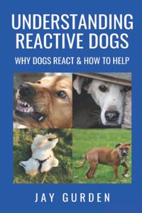 Understanding Reactive Dogs