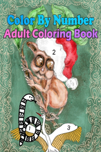 Color By Number Adult Coloring Book