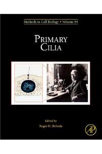 Primary Cilia