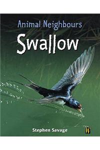 Animal Neighbours: Swallow