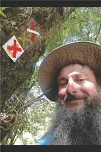 Cronaca di un pellegrinaggio controcorrente