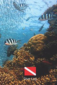 Dive Log