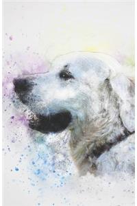 2019-2020 Academic Planner Weekly and Monthly Obedient Dog