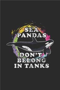 Sea Pandas Don't Belong In Tanks