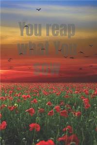 You Reap What You Sow