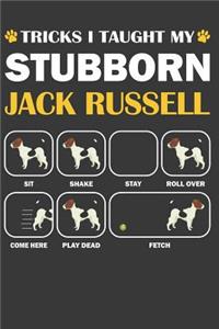 Jack Russell Journal