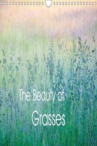 The Beauty of Grasses 2016