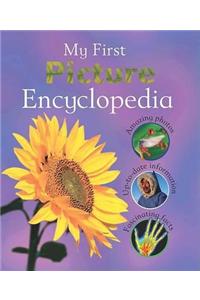 Reference 5+: Children's Picture Encyclopedia