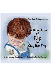 Adventures Of Tulip The Grey Tree Frog