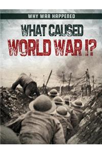 What Caused World War I?