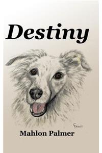 Destiny