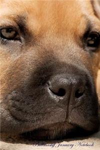 Bullmastiff January Notebook Bullmastiff Record, Log, Diary, Special Memories, to Do List, Academic Notepad, Scrapbook & More