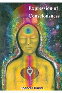 Expression of Consciousness
