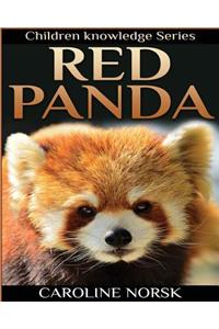 Red Panda