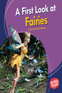 First Look at Fairies