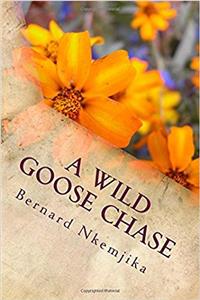 wild goose chase