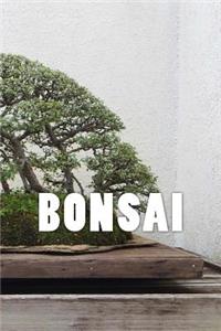 Bonsai