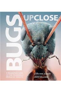 Bugs Up Close: A Magnified Look at the Incredible World of Insects