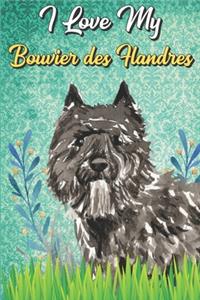 I Love My Bouvier des Flandres