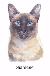 Siamese