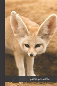 Fennec Fox Notes