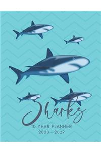 2020-2029 10 Ten Year Planner Monthly Calendar Sharks Goals Agenda Schedule Organizer