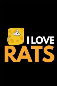 I Love Rats