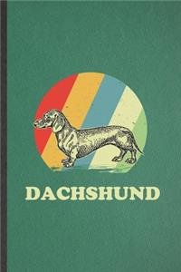 Dachshund