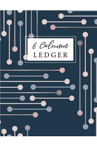 6 Column Ledger