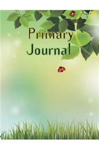 Primary Journal