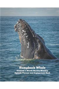 Humpback Whale Undated 3-Month Weekly Monthly Agenda Planner and Engagement Book