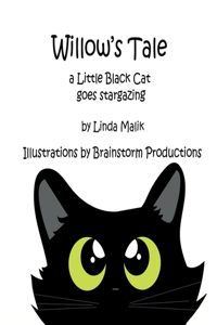 Willow's Tale: a Little Black Cat goes stargazing