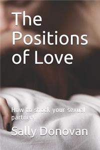 The Positions of Love: How to Shock Your Sexual Partner!