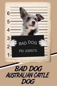 Bad Dog Australian Cattle Dog